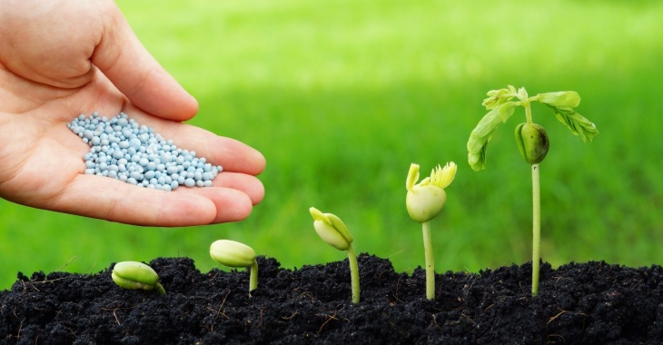 „GreenPlon” – nowy produkt Wodociągów Chrzanowskich „GreenPlon” – nowy produkt Wodociągów Chrzanowskich