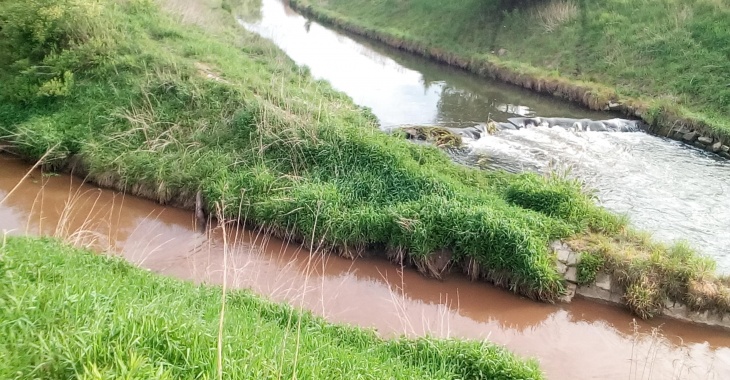 Pożar nielegalnego składowiska odpadów chemicznych w Siemianowicach Śląskich – interwencja w sprawie skażenia wód Pożar nielegalnego składowiska odpadów chemicznych w Siemianowicach Śląskich – interwencja w sprawie skażenia wód