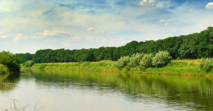 Wody Polskie aktywnie przeciwdziałają zanieczyszczaniu Odry i namnażaniu złotej algi