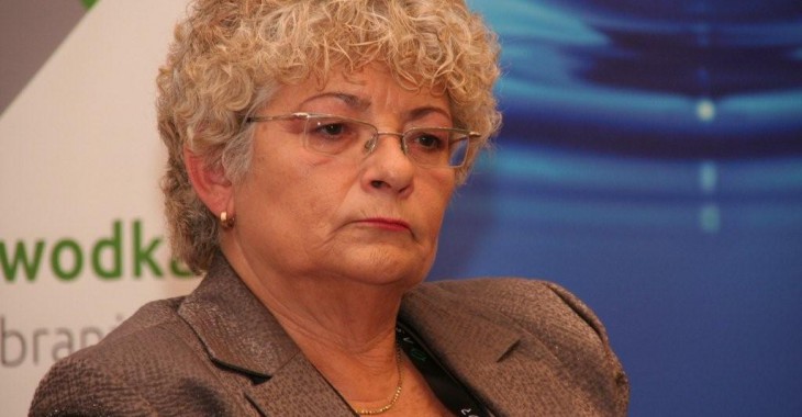 Hanna Krajewska: Służebność przesyłu w Warszawie to poważny problem Hanna Krajewska: Służebność przesyłu w Warszawie to poważny problem