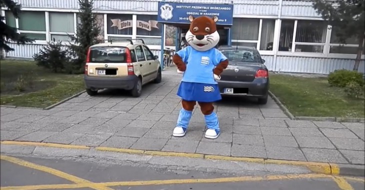 Wodociągi Płockie mają nową maskotkę Wodociągi Płockie mają nową maskotkę