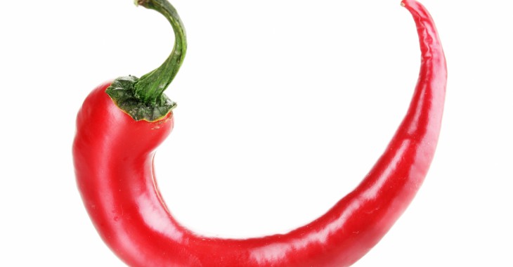 Jak zawsze w kwietniu wodociągowcy spotkają się w Hotelu Meta Jak zawsze w kwietniu wodociągowcy spotkają się w Hotelu Meta