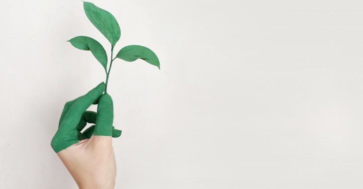 Ubrani w miazgę drzewną, czyli eko trendy w branży odzieży roboczej i ochronnej Ubrani w miazgę drzewną, czyli eko trendy w branży odzieży roboczej i ochronnej
