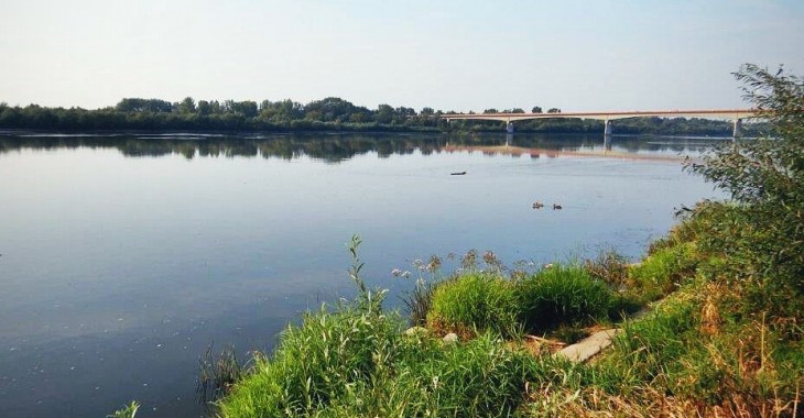 Informacje uzupełniające w sprawie zanieczyszczenia Wisły Informacje uzupełniające w sprawie zanieczyszczenia Wisły
