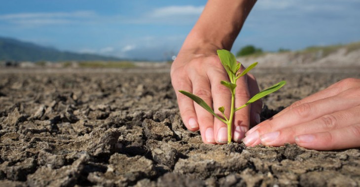 Zmiany klimatu będą miały wpływ także na polską gospodarkę. Zmianie musi ulec m.in. polityka rolna Zmiany klimatu będą miały wpływ także na polską gospodarkę. Zmianie musi ulec m.in. polityka rolna