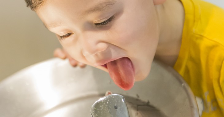 Program budowy poidełek dla uczniów świnoujskich szkół Program budowy poidełek dla uczniów świnoujskich szkół