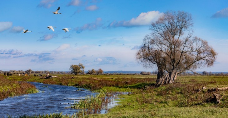 Światowy Dzień Wody 2020 Światowy Dzień Wody 2020