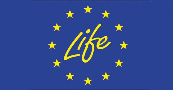 Pięć zmian dla polskich wnioskodawców programu LIFE Pięć zmian dla polskich wnioskodawców programu LIFE