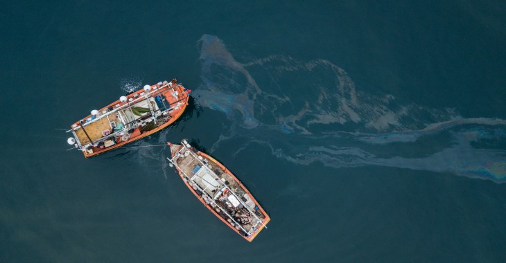 Zgłębiajmy wiedzę o ochronie mórz i oceanów podczas nauki w domu Zgłębiajmy wiedzę o ochronie mórz i oceanów podczas nauki w domu