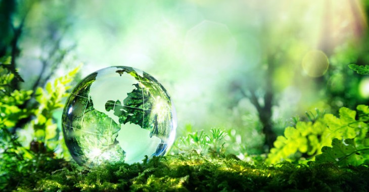 „Zieloną energię” Polacy kojarzą przede wszystkim z energią słoneczną i wiatrową „Zieloną energię” Polacy kojarzą przede wszystkim z energią słoneczną i wiatrową
