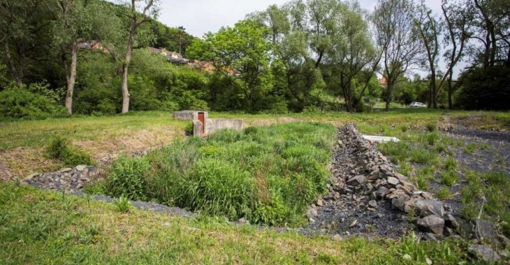 Największa taka hydrofitowa oczyszczalnia ścieków w Polsce