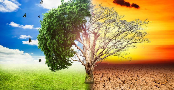 Konin opracowuje plan adaptacji do zmian klimatu