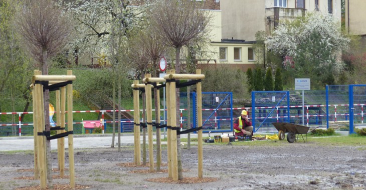 Aquanet sadzi drzewa