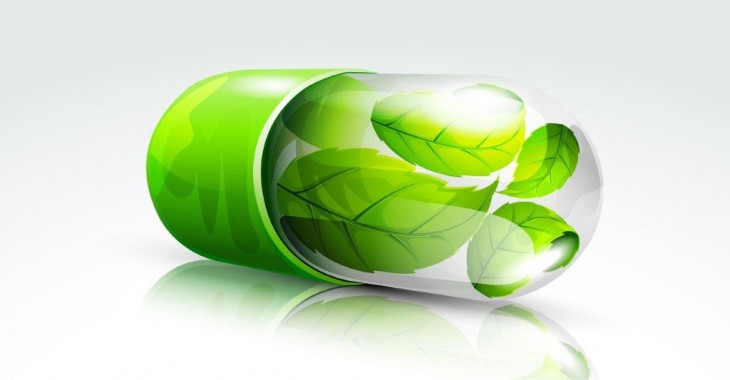 Zielona farmacja lekiem na czystą wodę Zielona farmacja lekiem na czystą wodę
