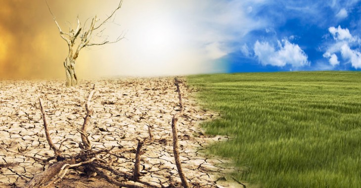 Polacy są gotowi na ponoszenie kosztów zmian klimatycznych, ale oczekują zaangażowania władz i biznesu Polacy są gotowi na ponoszenie kosztów zmian klimatycznych, ale oczekują zaangażowania władz i biznesu
