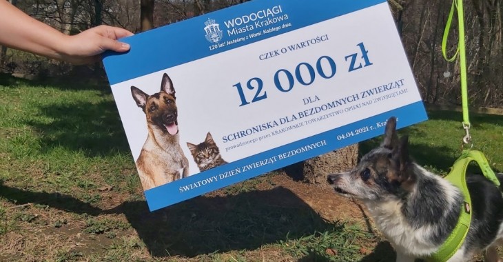 Kraków: Kropla dobra dla zwierząt Kraków: Kropla dobra dla zwierząt