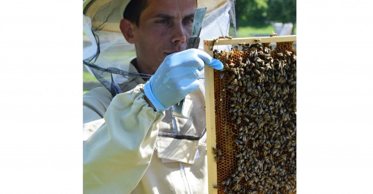 70 litrów miodu z pasiek na terenie ZUW w Rzeszowie 70 litrów miodu z pasiek na terenie ZUW w Rzeszowie
