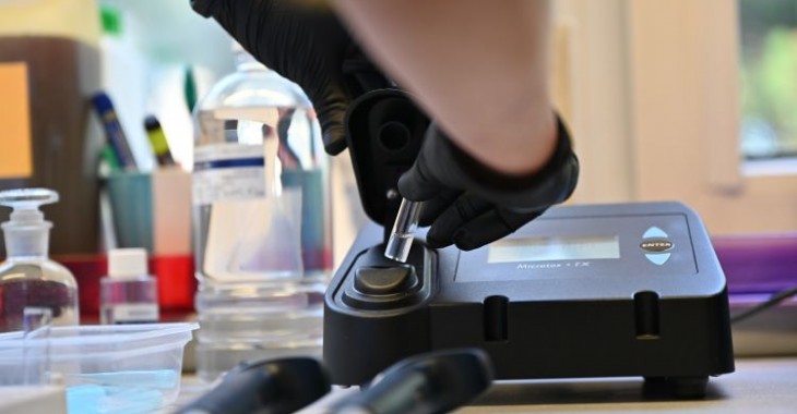 W łódzkim ZWiK pracują świecące bakterie