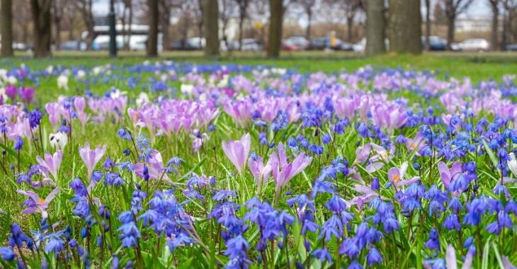 Katowice adaptują się do zmian klimatu Katowice adaptują się do zmian klimatu