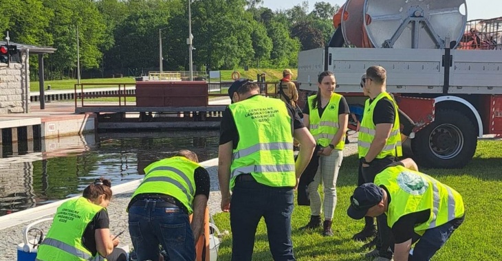 Działania w celu neutralizacji złotej algi Działania w celu neutralizacji złotej algi