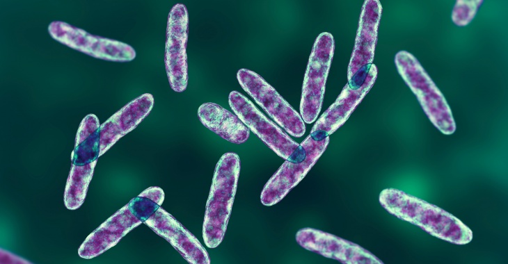 Komunikat Izby Gospodarczej „Wodociągi Polskie” ws. aktualnej sytuacji dotyczącej bakterii z rodzaju legionella Komunikat Izby Gospodarczej „Wodociągi Polskie” ws. aktualnej sytuacji dotyczącej bakterii z rodzaju legionella
